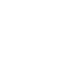 Icon Pin
